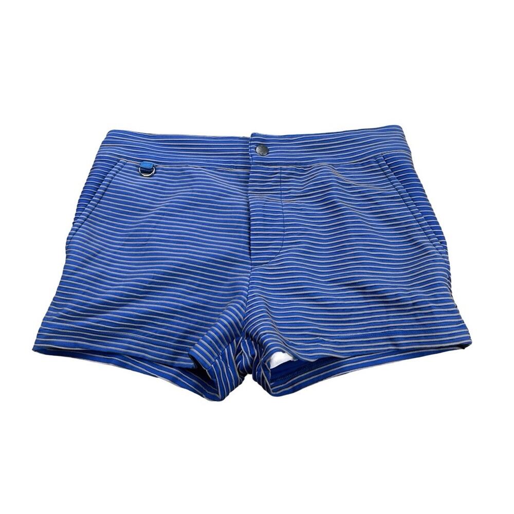 Mr Turk Swim Trunks Mens 29 Blue Stripe 2” Inseam Short Lined Resort